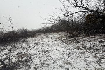 Фото №4: Участок садоводство - Майкоп, мкр. СНТ Восход, ул. Предгорная