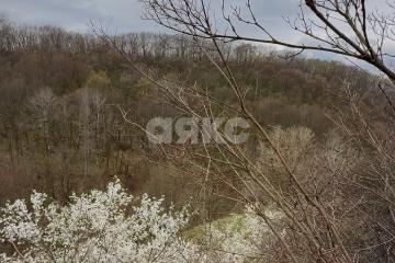 Фото №1: Участок садоводство - Майкоп, мкр. СНТ Восход, ул. Предгорная