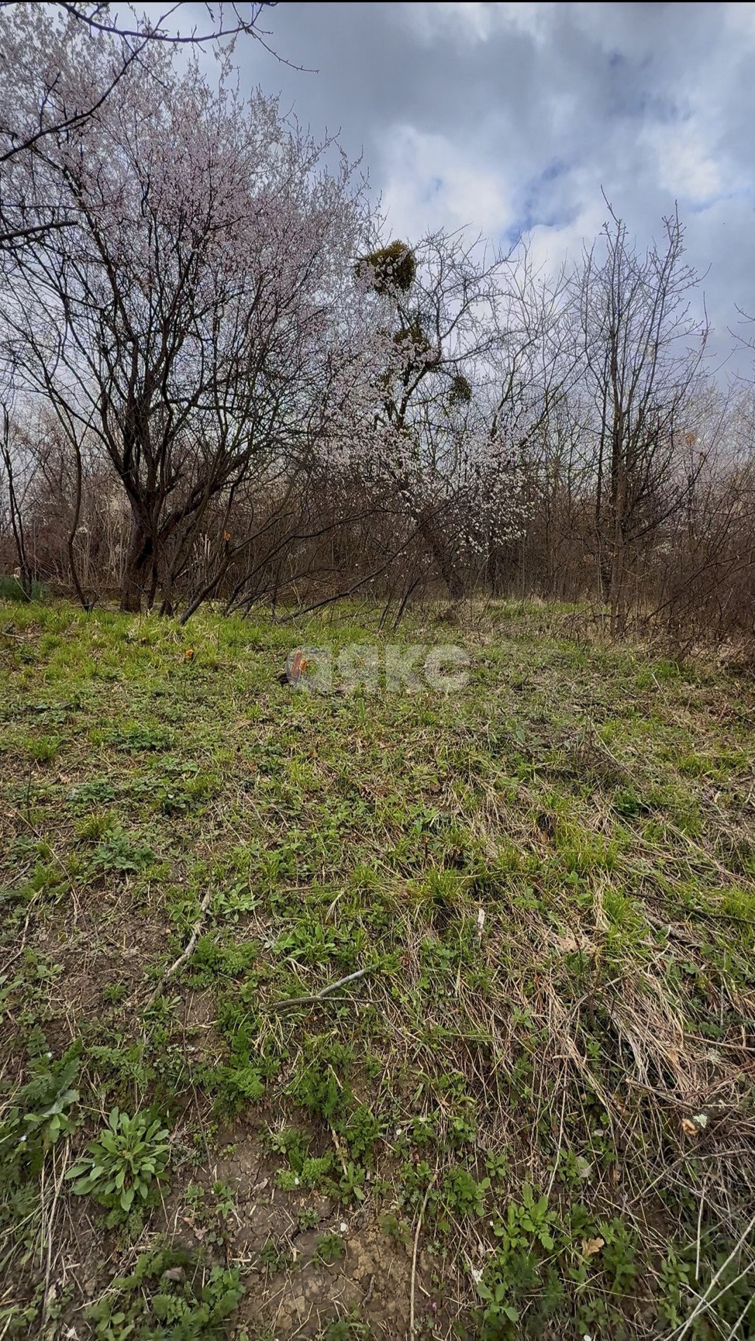 Фото №5: Участок садоводство 4 сот. - Майкоп, мкр. СНТ Восход, ул. Предгорная