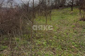 Фото №3: Участок садоводство - Майкоп, мкр. СНТ Восход, ул. Предгорная