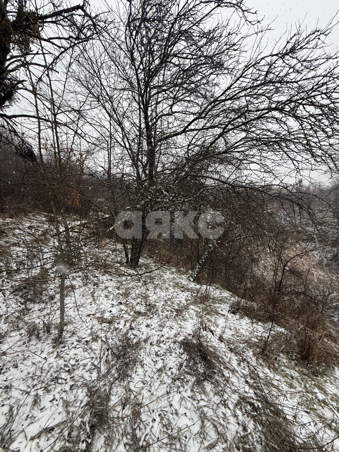 Фото №6: Участок садоводство 4 сот. - Майкоп, мкр. СНТ Восход, ул. Предгорная