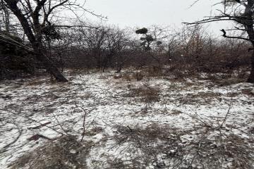 Фото №5: Участок садоводство - Майкоп, мкр. СНТ Восход, ул. Предгорная