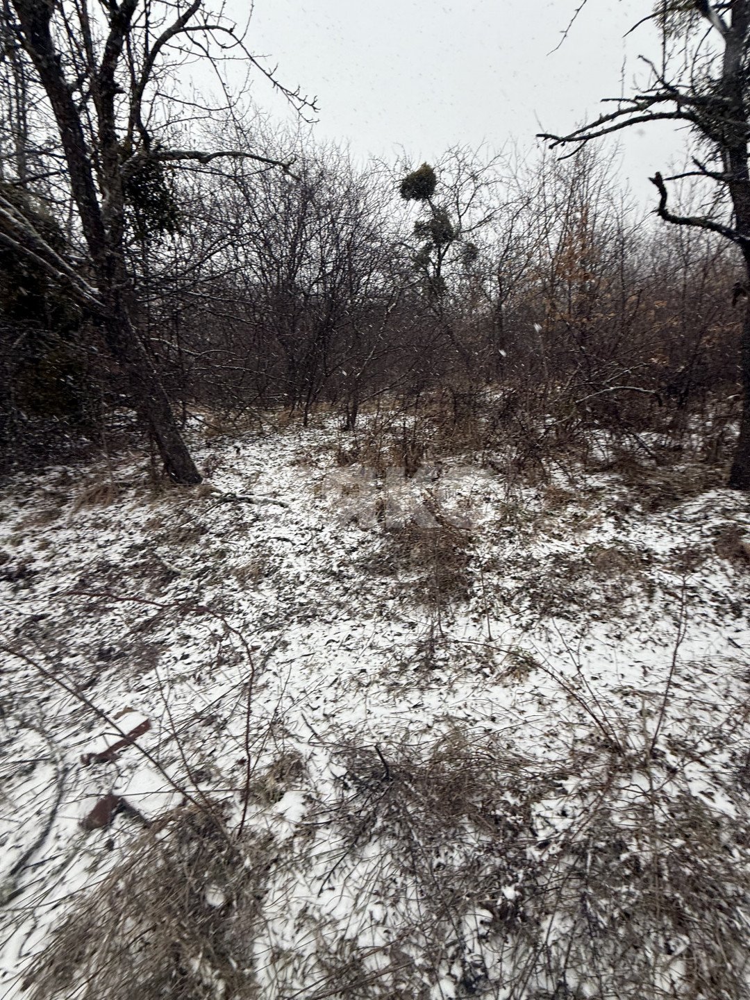 Фото №5: Участок садоводство 4 сот. - Майкоп, мкр. СНТ Восход, ул. Предгорная