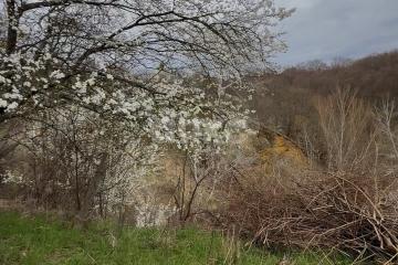 Фото №5: Участок садоводство - Майкоп, мкр. СНТ Восход, ул. Предгорная