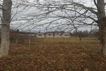 Фото №2: Земельный участок под ИЖС - Новокубанск, мкр. Капланово, ул. Первомайская, 377