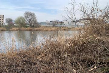 Фото №4: Дом 40 м² - Краснодар, ж/м Пашковский, ул. Конечная