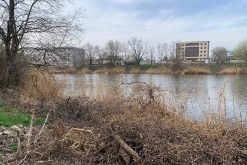 Фото №5: Дом 40 м² - Краснодар, ж/м Пашковский, ул. Конечная