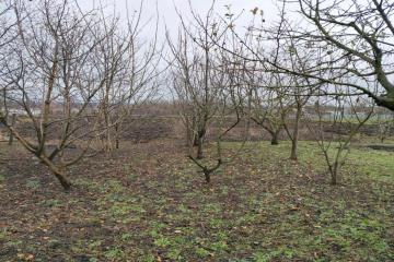 Фото №3: Дом 66 м² - Украинская, ул. Шоссейная