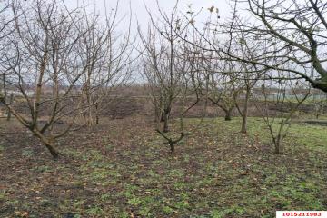 Фото №3: Дом 66 м² - Украинская, ул. Шоссейная