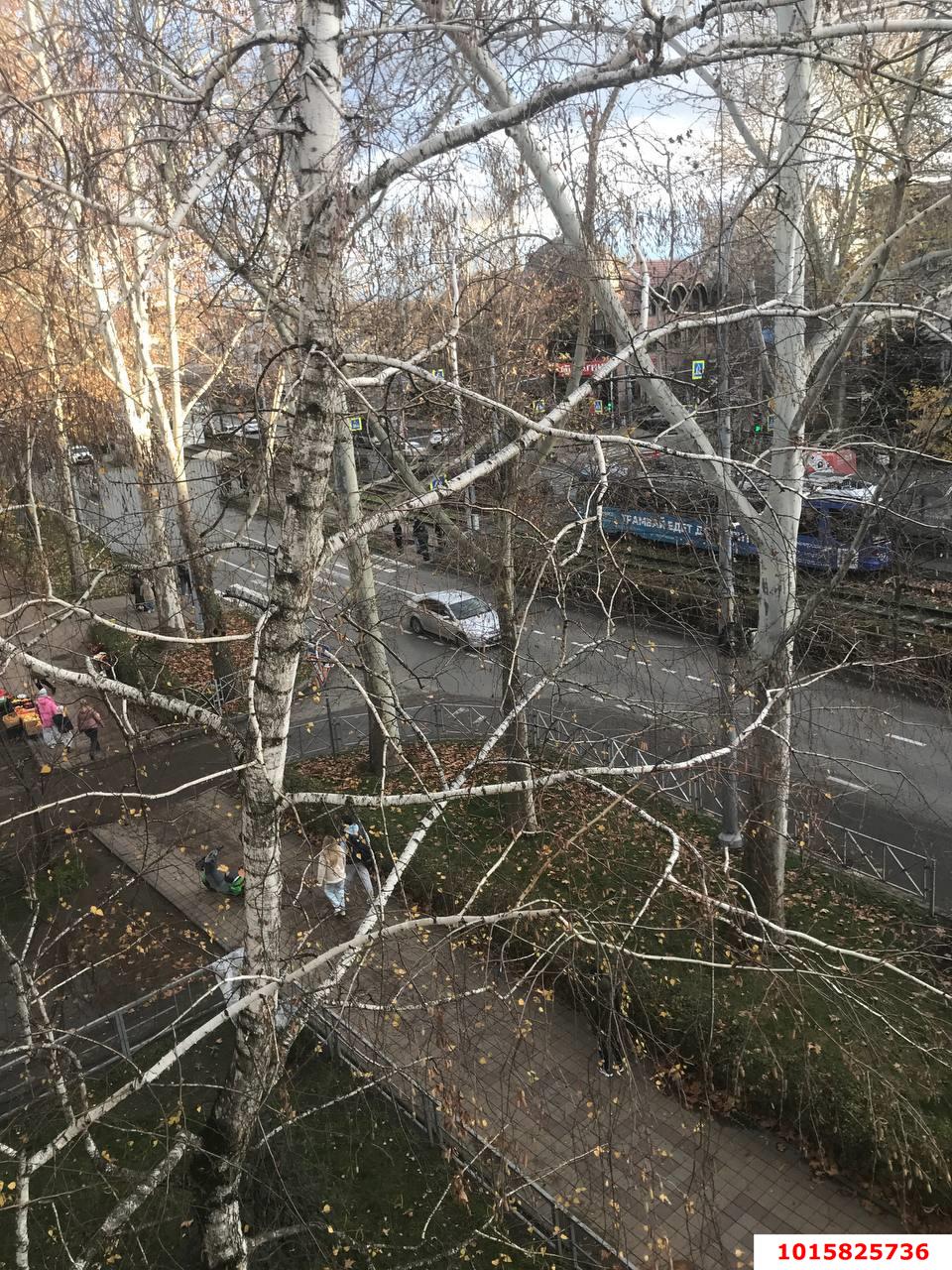 Фото №7: 1-комнатная квартира 31 м² - Краснодар, ул. Ставропольская, 113