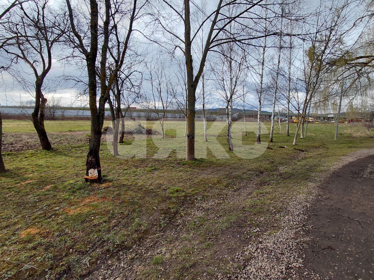 Фото №3: Коммерческая земля 6 сот. - Усть-Лабинск, мкр. общество Голубое пламя, пр-д Славный