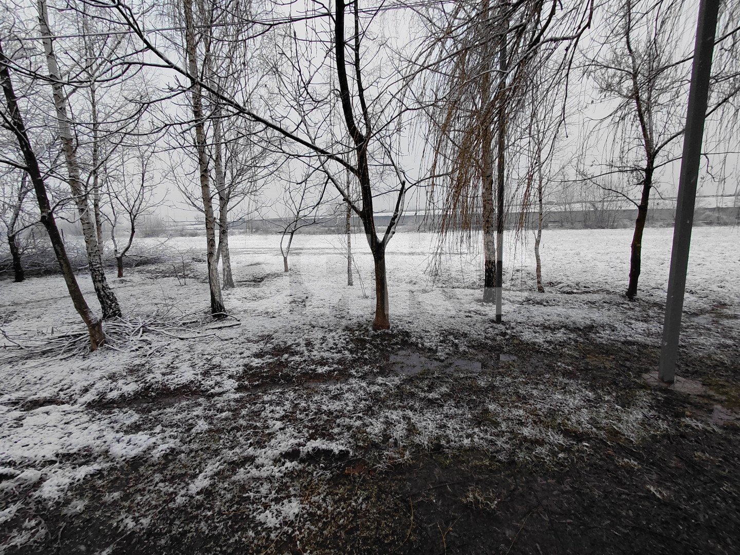 Фото №1: Коммерческая земля 6 сот. - Усть-Лабинск, мкр. общество Голубое пламя, пр-д Славный