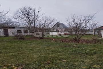 Фото №1: Личное подсобное хозяйство - Суздальская, ул. Комсомольская