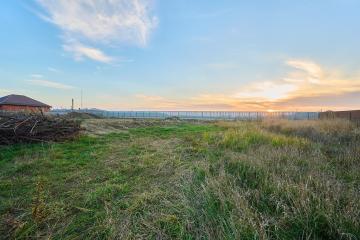 Фото №4: Земельный участок 36 сот. - Краснодар, мкр. ДНТ Знаменский, ул. Свободная, 39