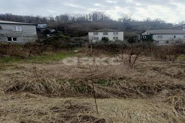 Фото №2: Личное подсобное хозяйство - Сочи, п. Лоо, пер. Разина, 18