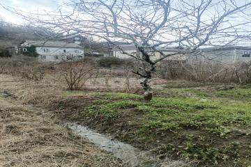 Фото №3: Личное подсобное хозяйство - Сочи, п. Лоо, пер. Разина, 18