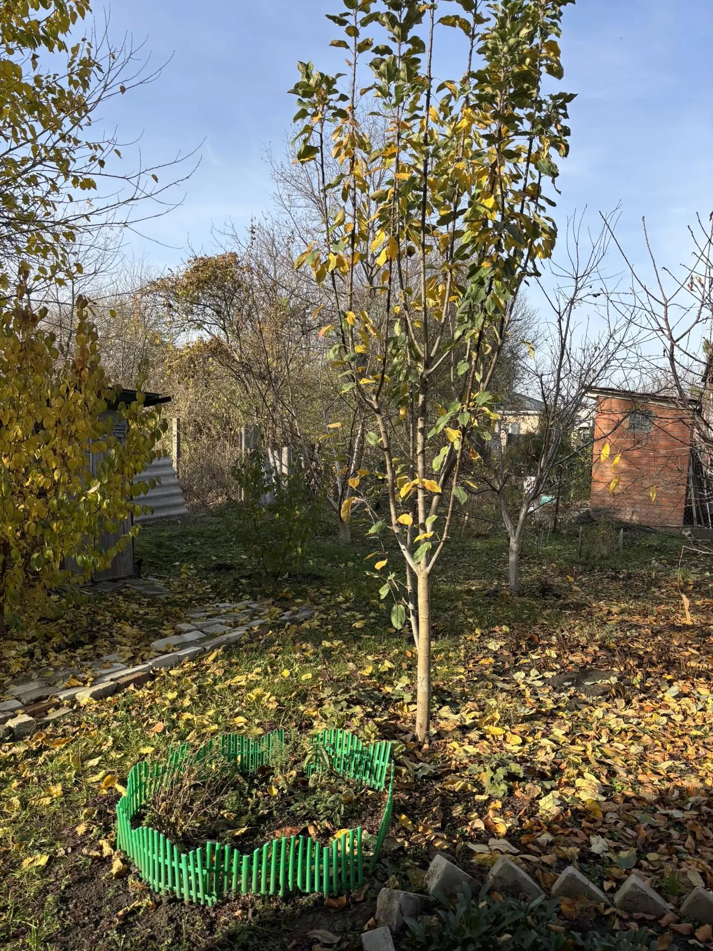 Фото №4: Дом 70 м² + 6 сот. - Краснодар, Прикубанский внутригородской округ, мкр. СТ № 13 завода имени Седина, ул. Центральная, 537