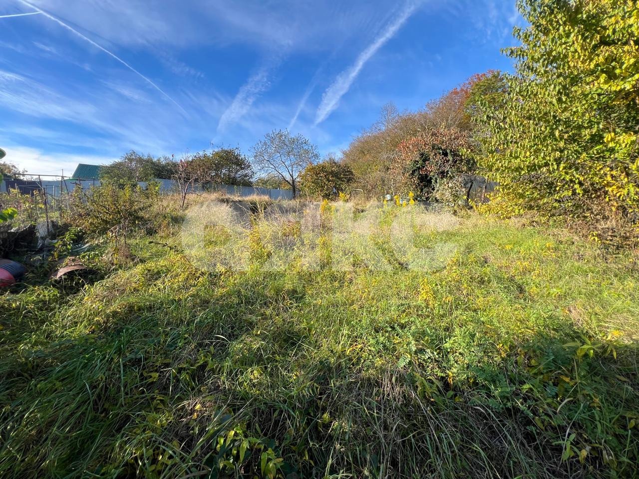 Фото №7: Участок садоводство 4.96 сот. - Галицыно, Адлерский, мкр. СТ Пчеловод, 19