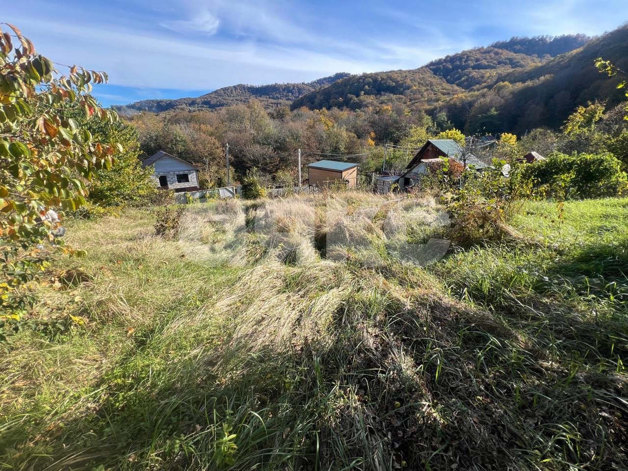 Фото №9: Участок садоводство 4.96 сот. - Галицыно, Адлерский, мкр. СТ Пчеловод, 19