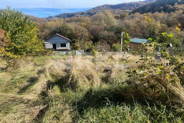 Фото №5: Участок садоводство - Галицыно, мкр. СТ Пчеловод, 19