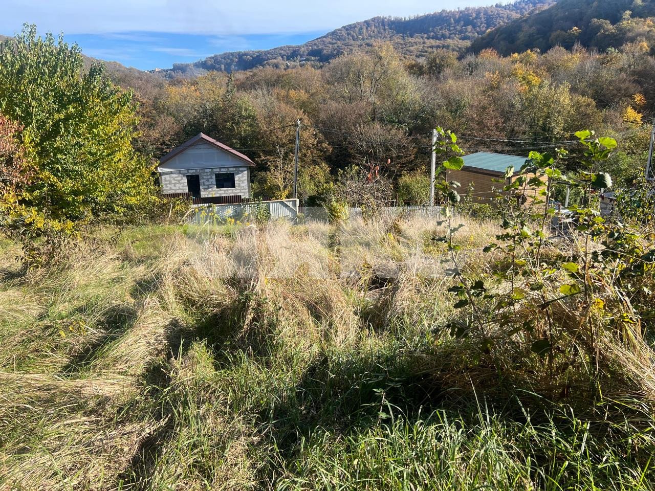 Фото №5: Участок садоводство 4.96 сот. - Галицыно, Адлерский, мкр. СТ Пчеловод, 19