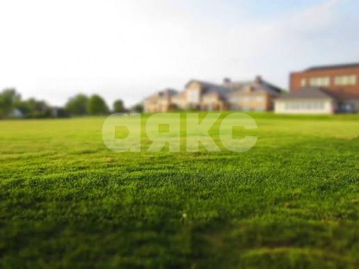 Фото №5: Земельный участок под ИЖС 6.65 сот. - Северо-Восточные Сады, ул. Прогрессивная