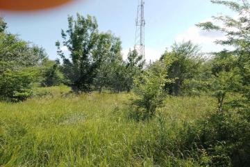 Фото №2: Земельный участок 7.72 сот. - Новодмитриевская, ул. Куйбышева