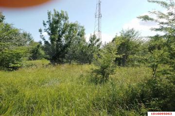 Фото №2: Земельный участок 7.72 сот. - Новодмитриевская, ул. Куйбышева