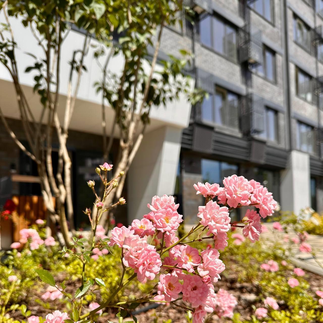 Фото №1: Студия 23 м² - Краснодар, Центральный внутригородской округ, мкр. Черёмушки, ул. Обрывная, 132/1к27