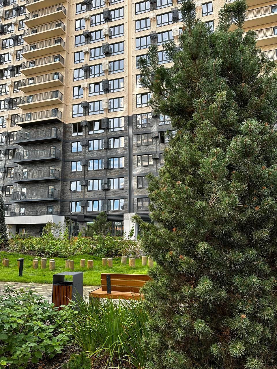 Фото №2: Студия 23 м² - Краснодар, Центральный внутригородской округ, мкр. Черёмушки, ул. Обрывная, 132/1к27