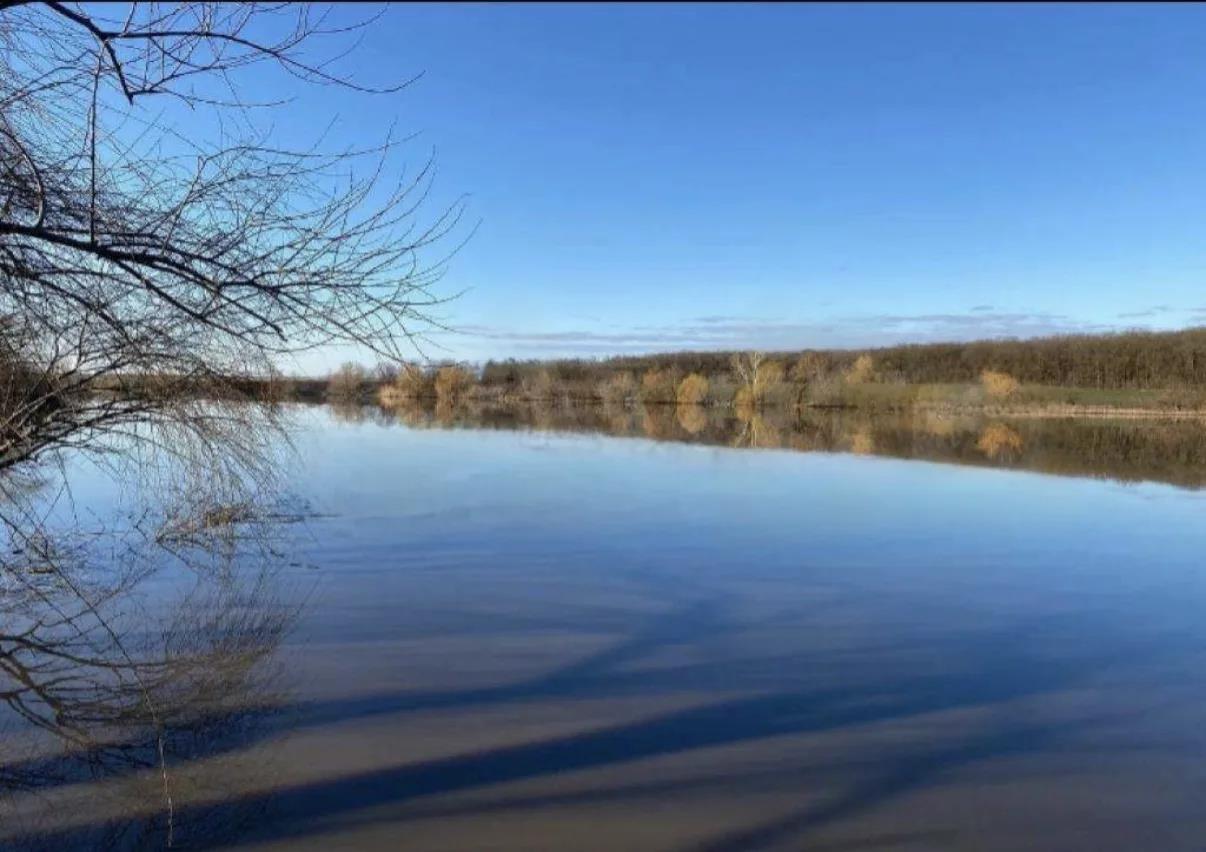 Фото №4: Коммерция 25 м² - Красненский, ул. Школьная, 1/1