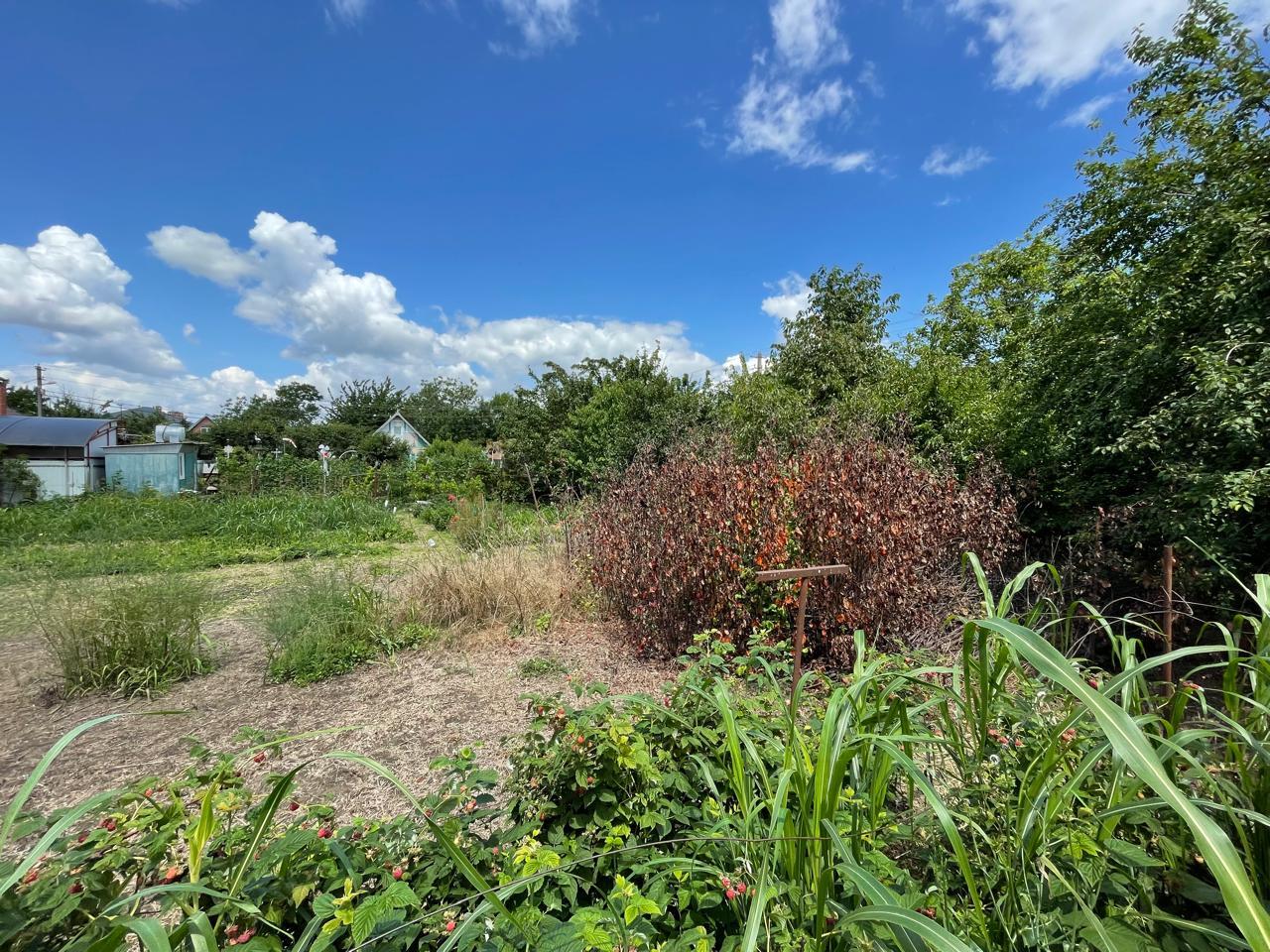 Фото №7: Земельный участок 8.7 сот. - Краснодар, Прикубанский внутригородской округ, Сады Калинина, мкр. СНТ Солнышко, ул. Виноградная, 750