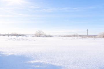 Фото №3: Личное подсобное хозяйство - Аринино, 74