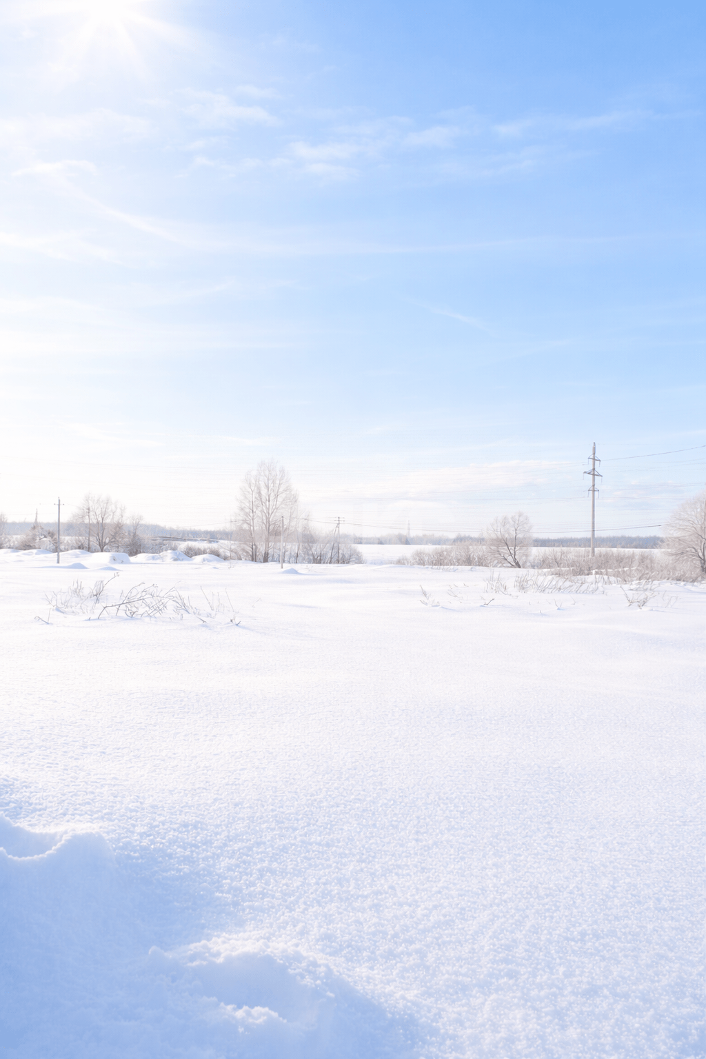 Фото №3: Личное подсобное хозяйство 15 сот. - Аринино, 74