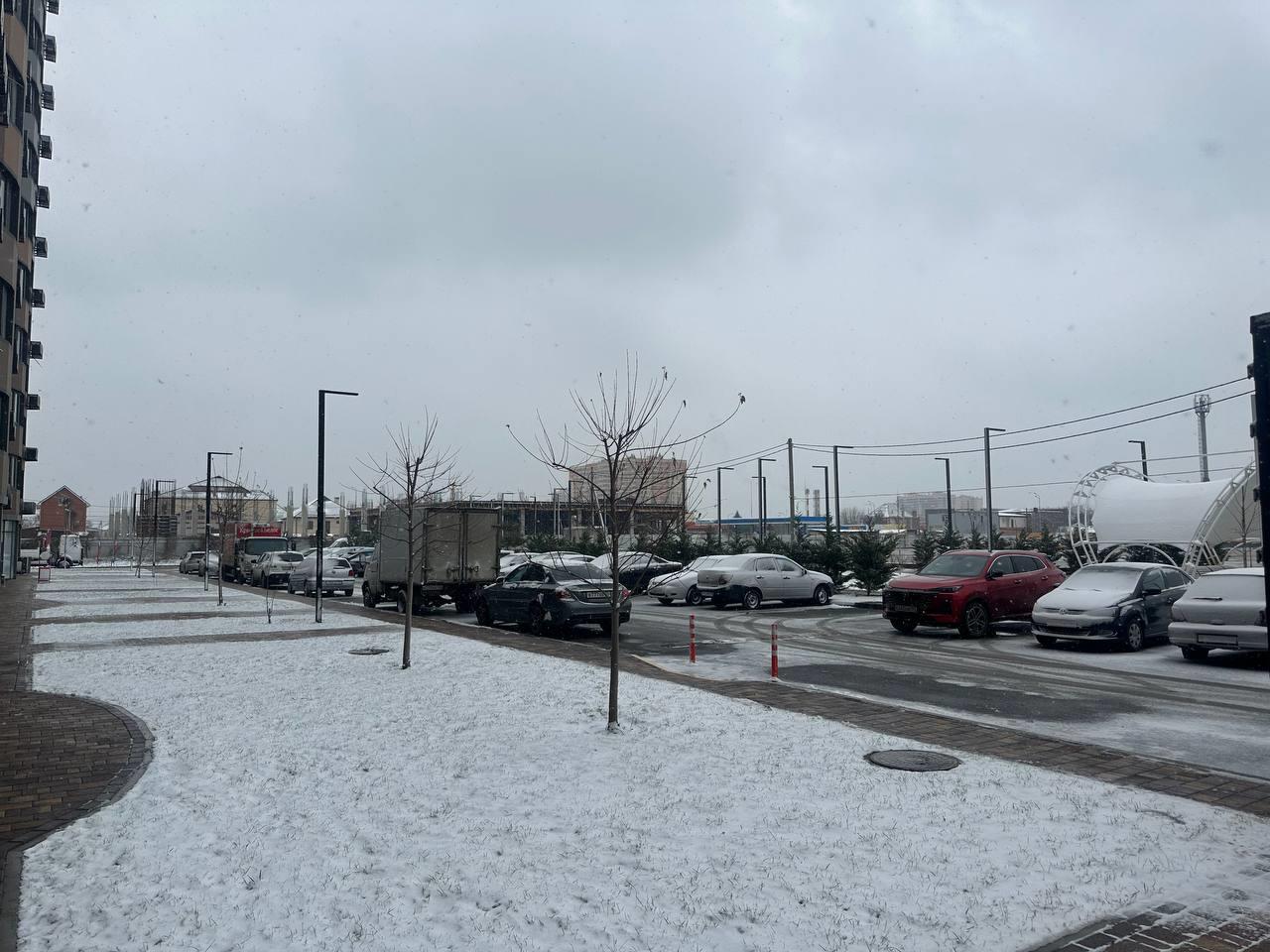 Фото №11: Коммерция 81 м² - Краснодар, Прикубанский внутригородской округ, мкр. жилой комплекс Хорошая Погода, ул. Кирилла Россинского, 3/1к1