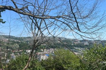 Фото №3: Земельный участок под ИЖС - Барановка (Хостинский район), счт Монтажник, 