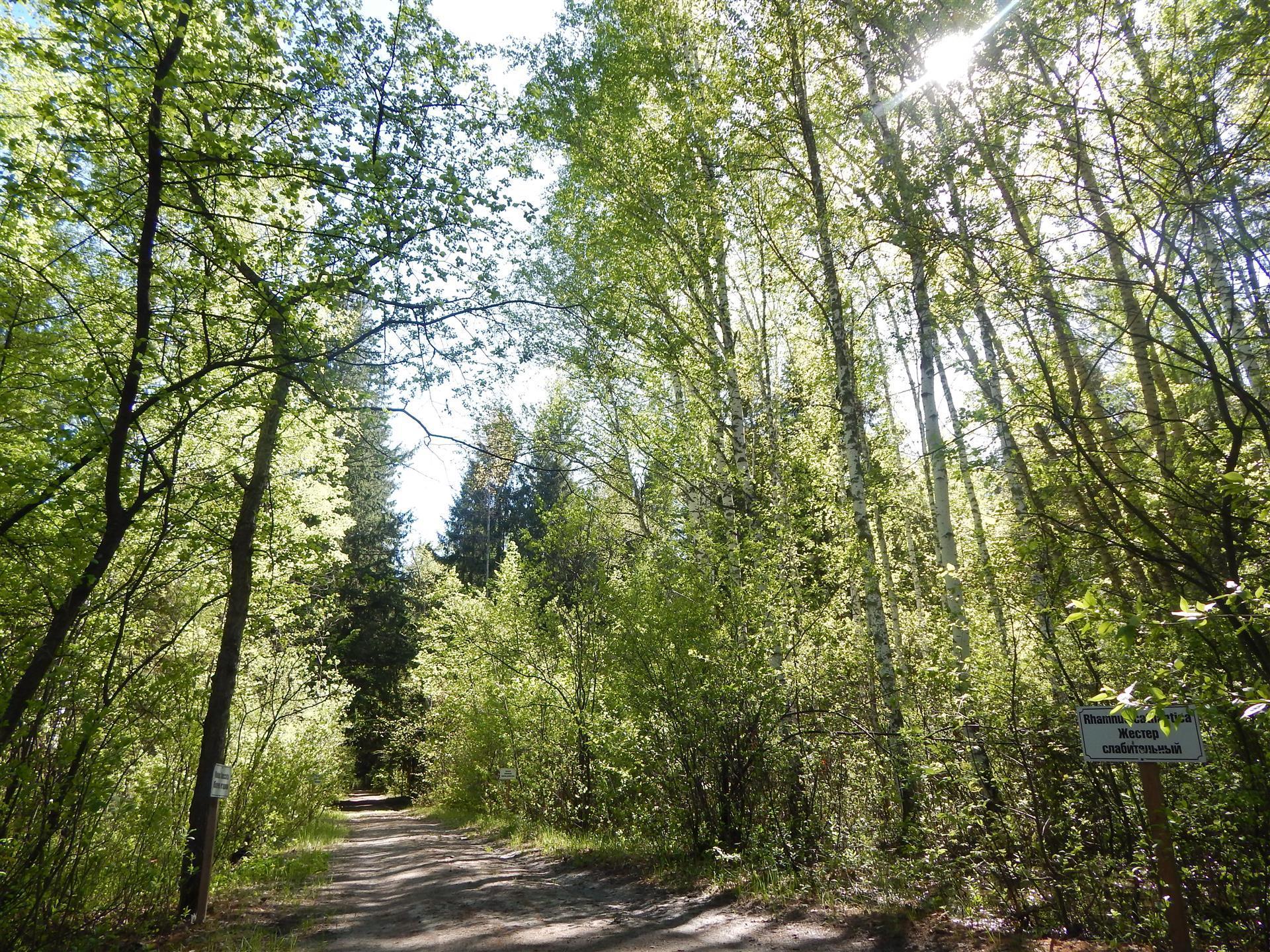 Фото №6: Земельный участок 5 сот. - СТ Озёрное, 214