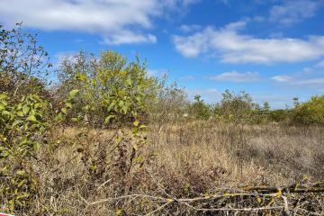 Фото №2: Земельный участок 15 сот. - Козет, ул. Убыхская, 13