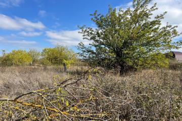 Фото №3: Земельный участок 15 сот. - Козет, ул. Убыхская, 13