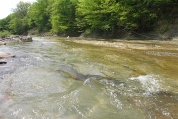 Фото №3: Земельный участок 15 сот. - Шабановское, ул. Кирова