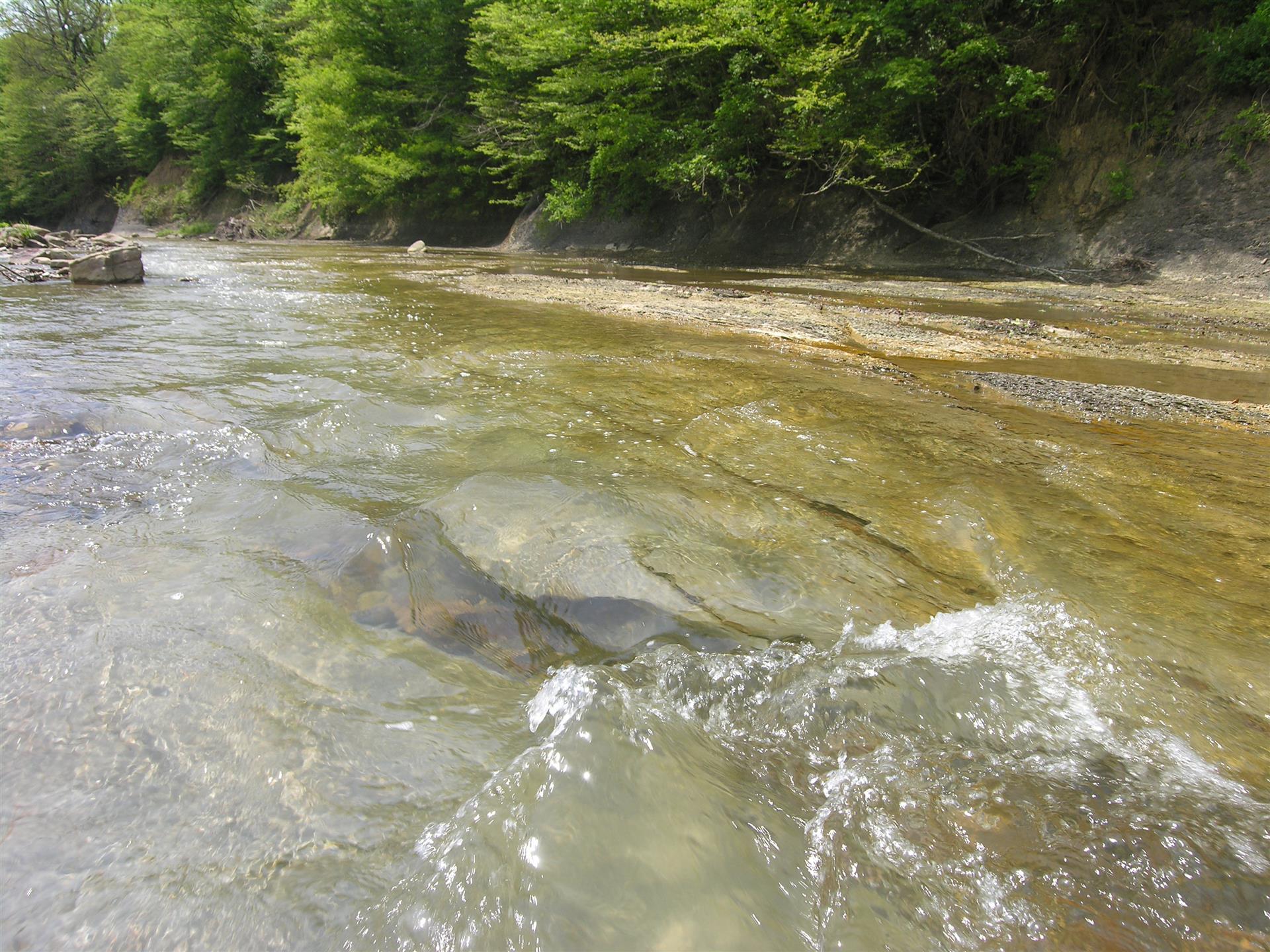 Фото №1: Земельный участок 15 сот. - Шабановское, ул. Кирова