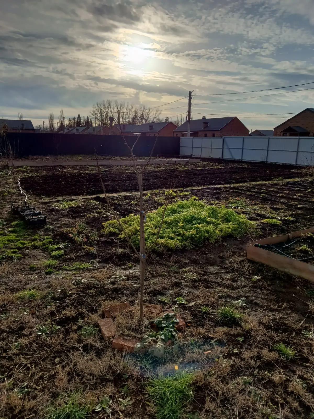 Фото №2: Земельный участок 5 сот. - Барнхутор