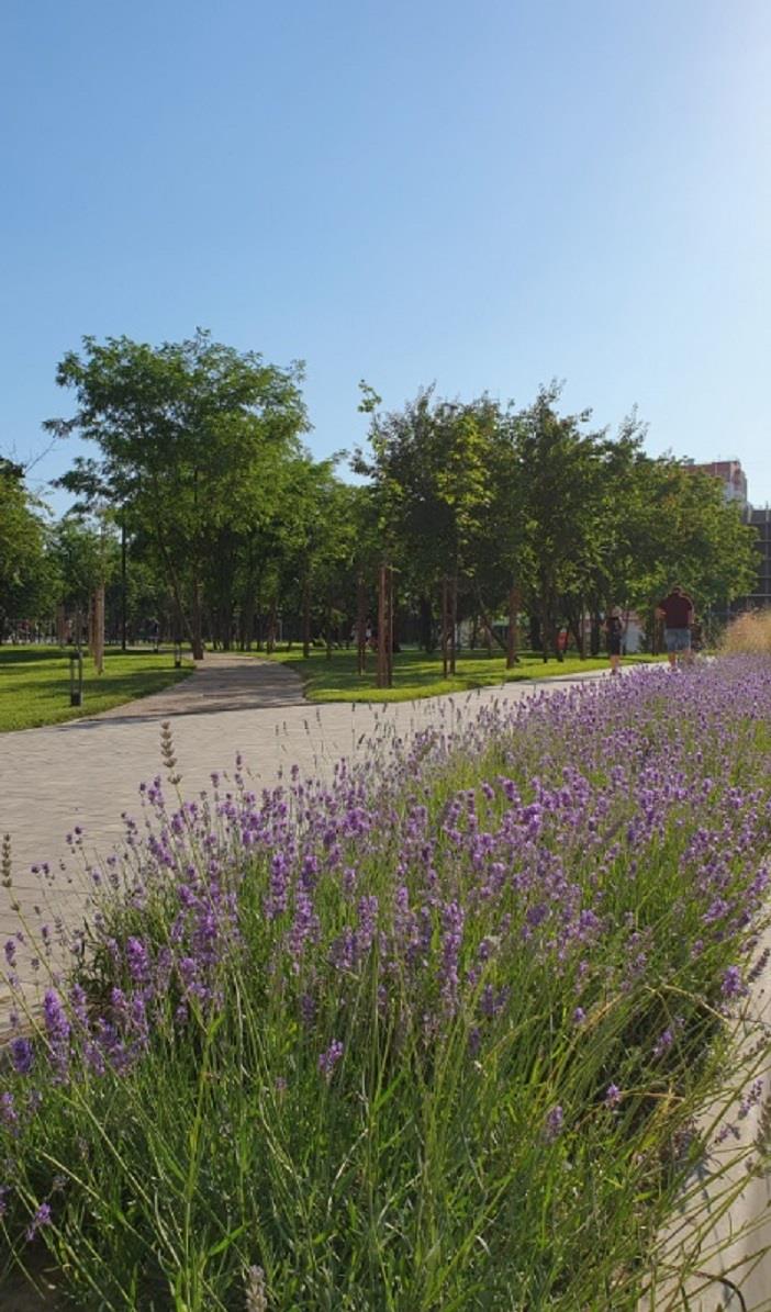 Фото №15: 2-комнатная квартира 56 м² - Краснодар, Карасунский внутригородской округ, мкр. Почтовый, пр-кт имени писателя Знаменского, 22