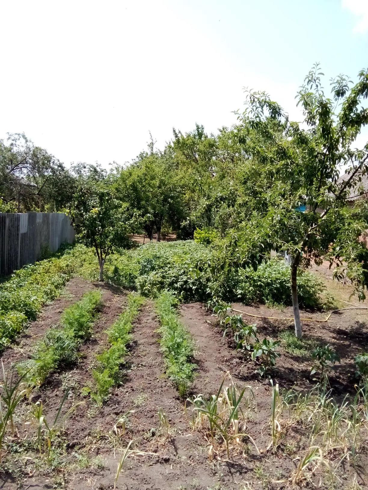 Фото №6: Дом 76 м² + 3.35 сот. - Незамаевская, ул. Ленина, 34