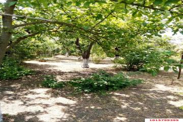 Фото №5: Дом 76 м² - Незамаевская, ул. Ленина, 34