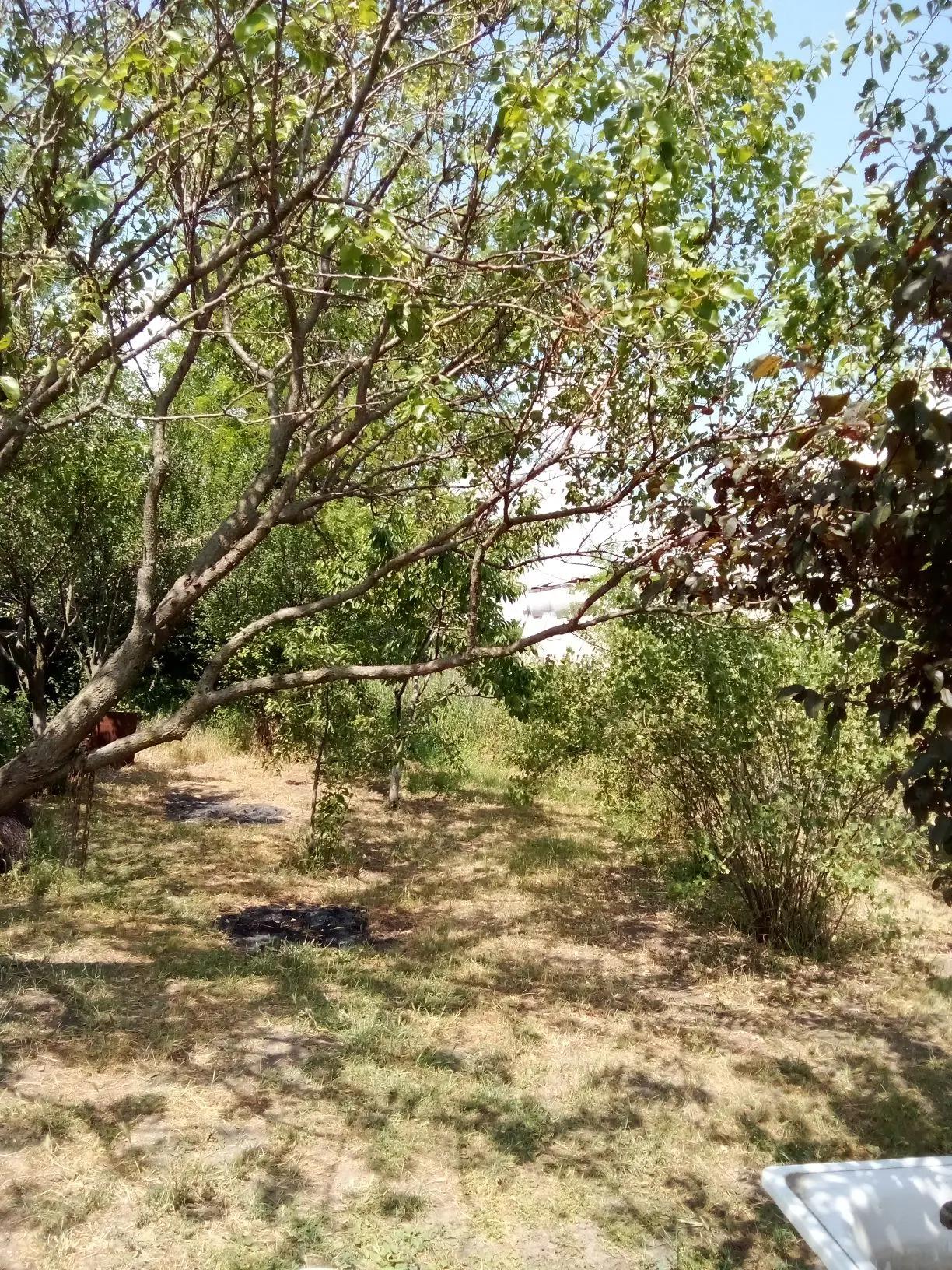 Фото №7: Дом 76 м² + 3.35 сот. - Незамаевская, ул. Ленина, 34