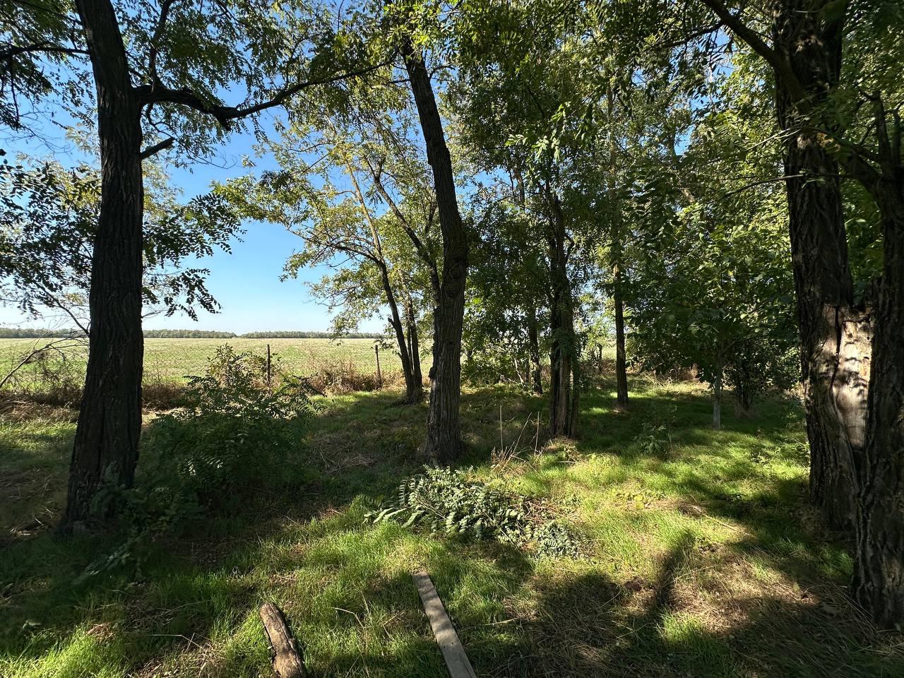 Фото №6: Дом 166 м² + 8.2 сот. - СНТ Победитель, мкр. Прикубанский внутригородской округ