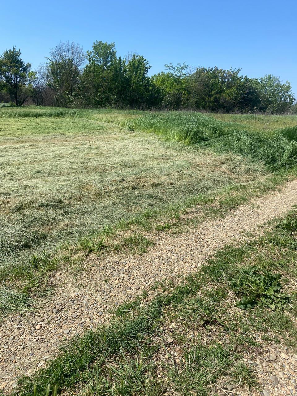 Фото №1: Земельный участок 5 сот. - СНТ Искра