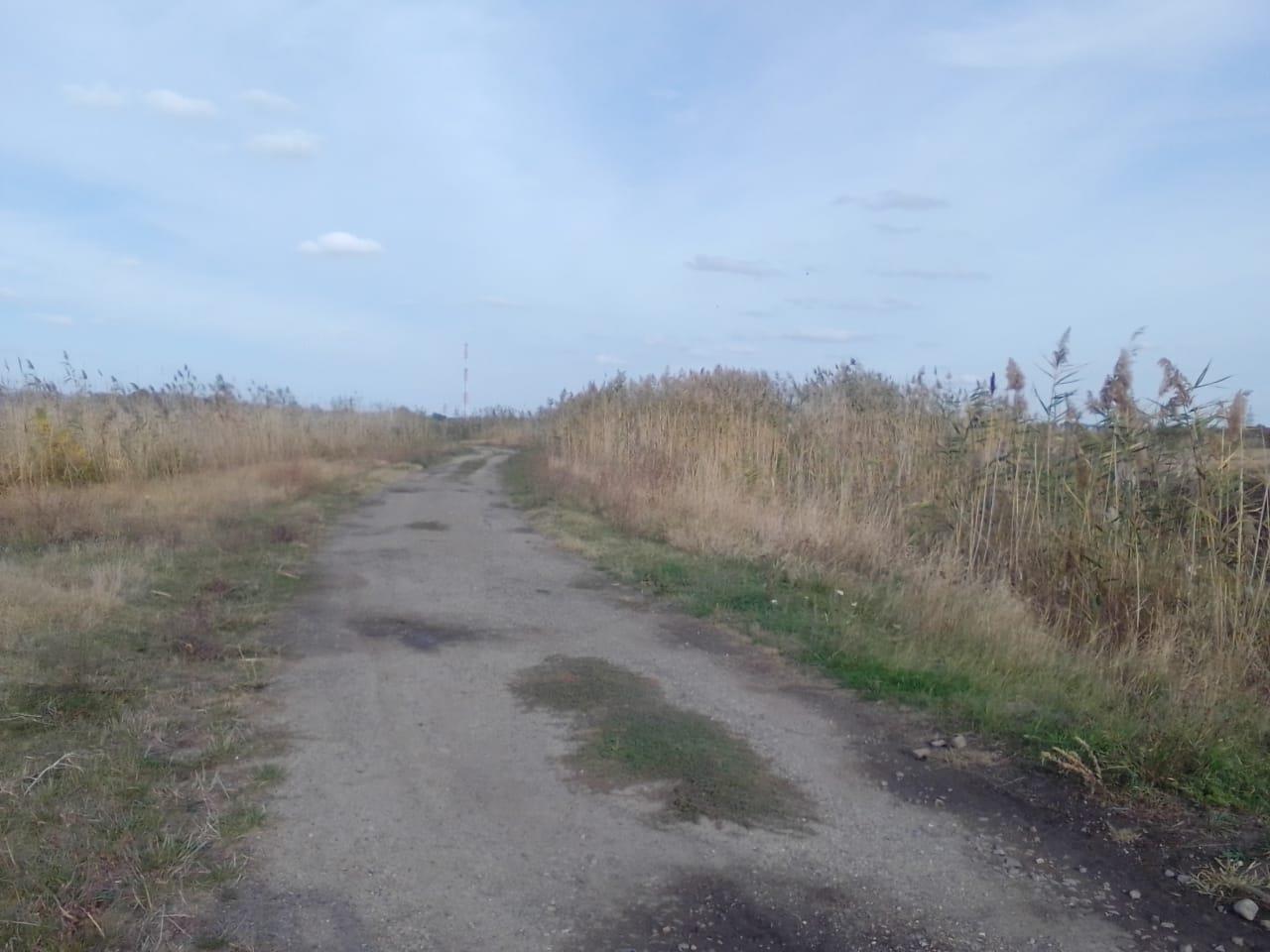 Фото №2: Коммерция 600 м² - Днепровская, ул. Ленина, 61