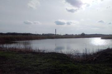 Фото №5: Коммерция 600 м² - Днепровская, ул. Ленина, 61